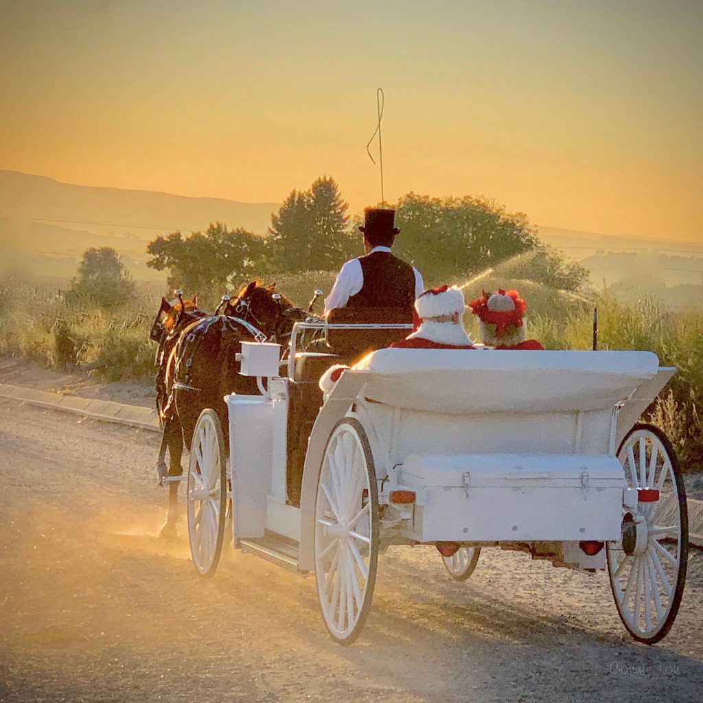 The Santa Couple Idaho Sleigh Rides - The Santa Couple and the Idaho ...
